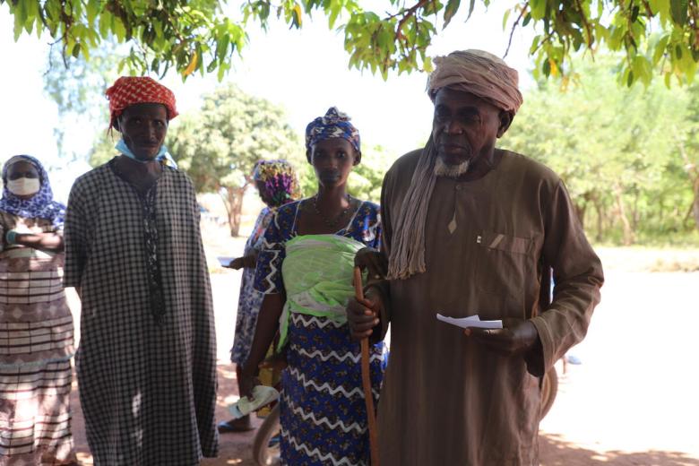 LMMS in Mali