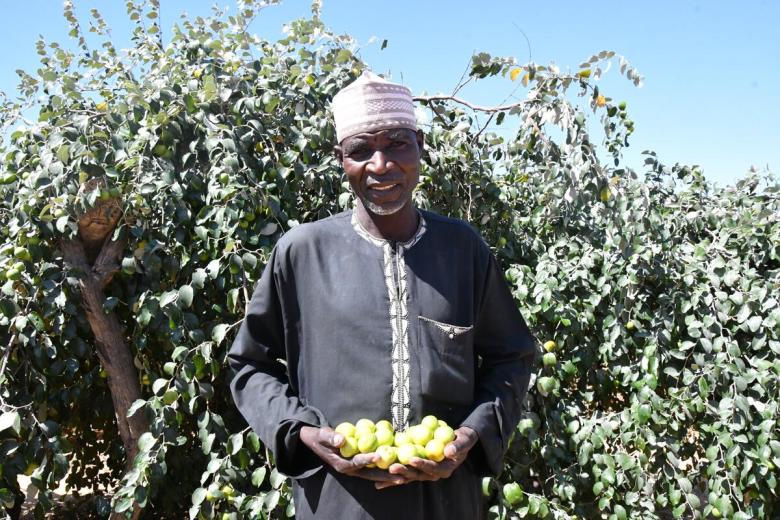 Growing Sahelian apples helped Abdoulsalam stay close to his family