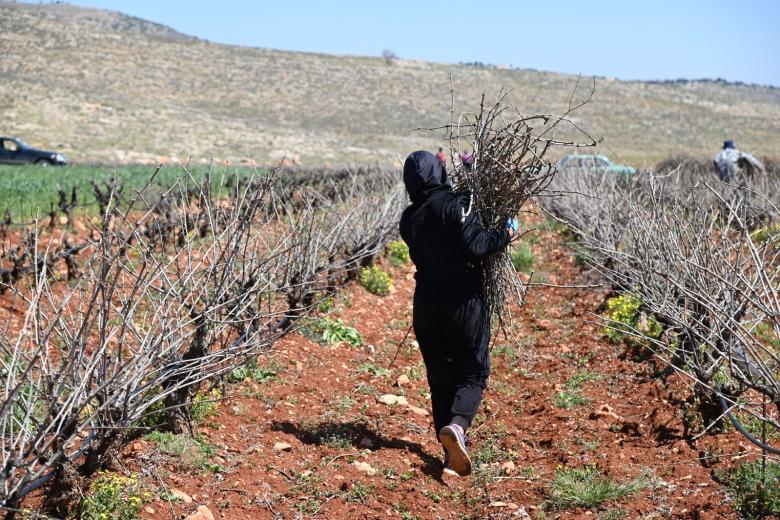 Solange carrying crops
