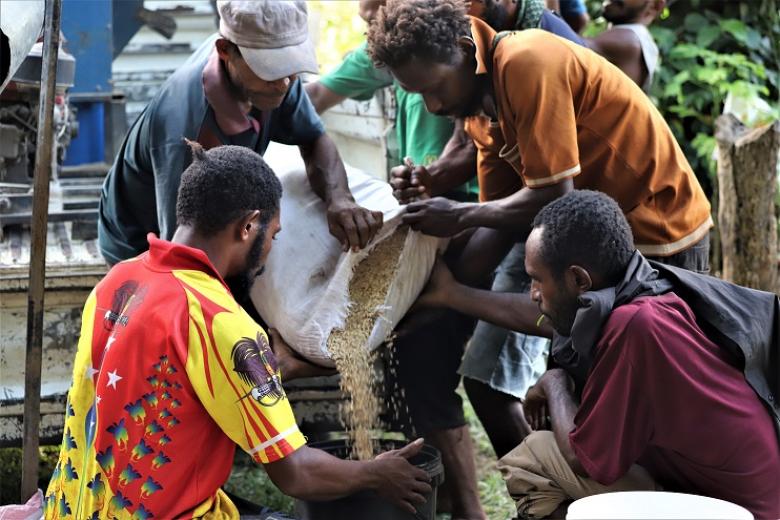 Building Resilience project invests in rice farming (22)