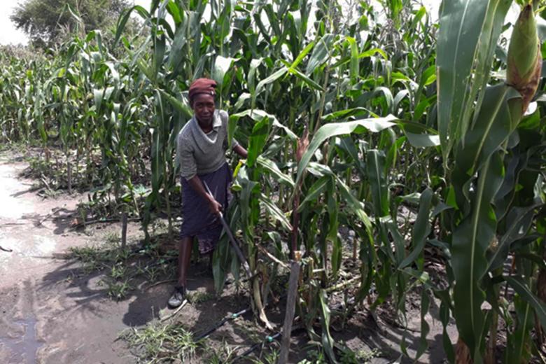 I am pleased that we can now grow crops throughout the year. Our families can access fresh vegetables all the time. We can afford three meals a day.