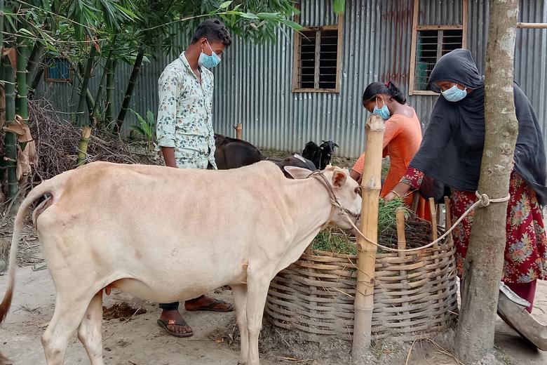 Livestock Insurance | Bangladesh - Livelihoods | World Vision International Livestock Insurance | Bangladesh - Livelihoods | World Vision International