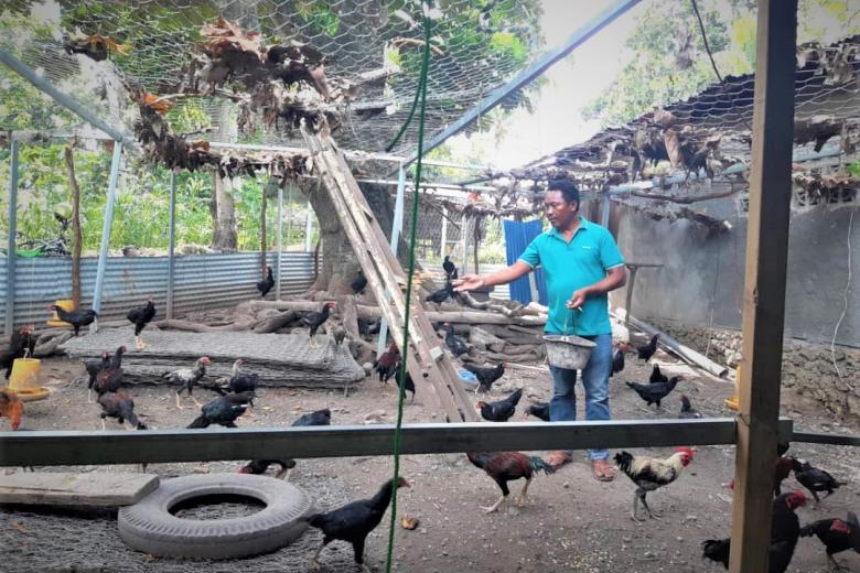 Hernani is feeding chickens. Image: Feliciano Luis / World Vision