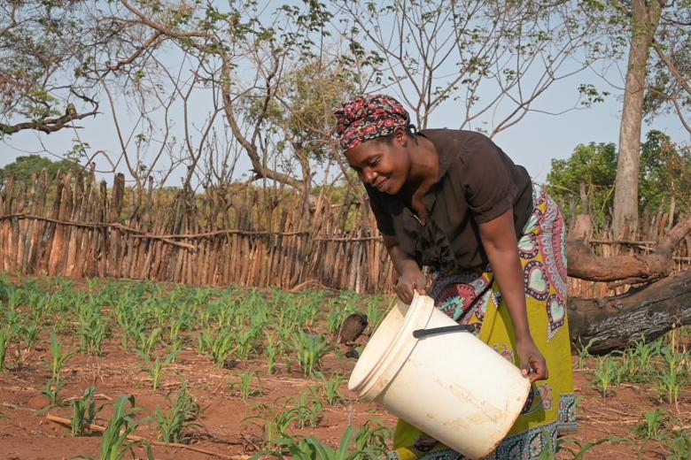Watering using the mechanised system