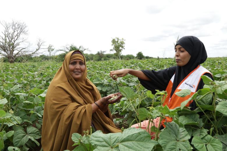 Diversification helps communities to tackle malnutrition and beat the drought in Kenya