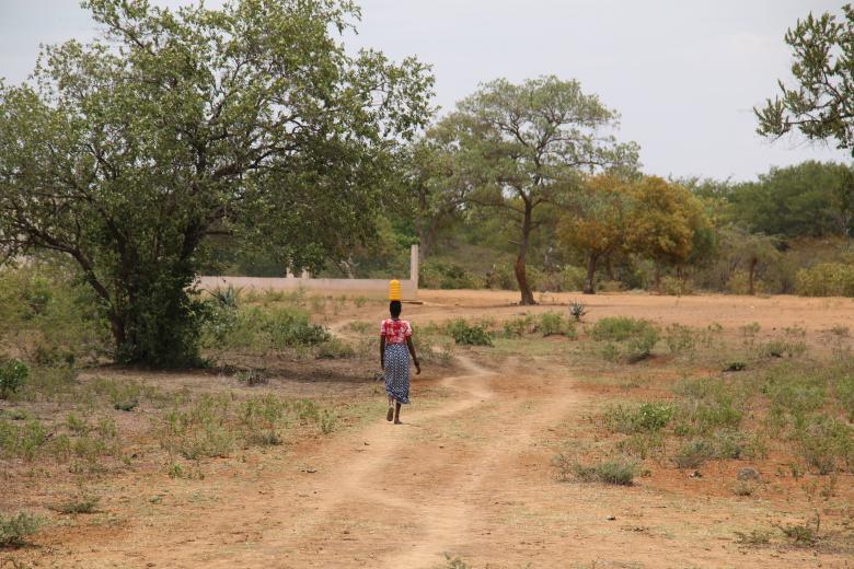 Climate change: A common enemy leaving families increasingly vulnerable