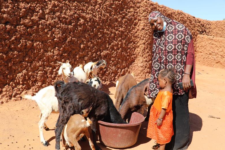 nasbatou and her animals