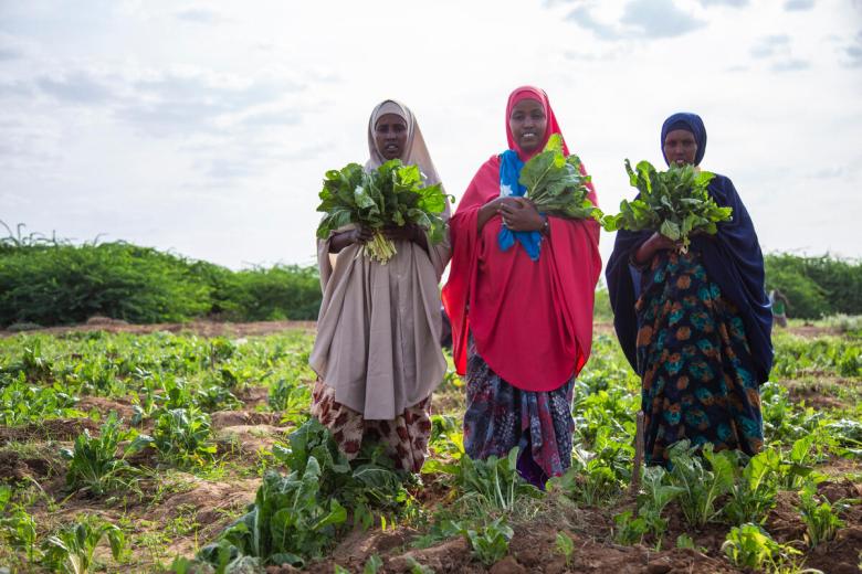 Kabasa farm, Dollow, Irrigation, River Juba, World Water Day