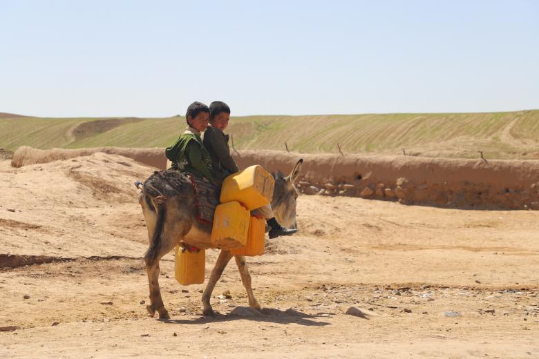 Oasis amid the drought