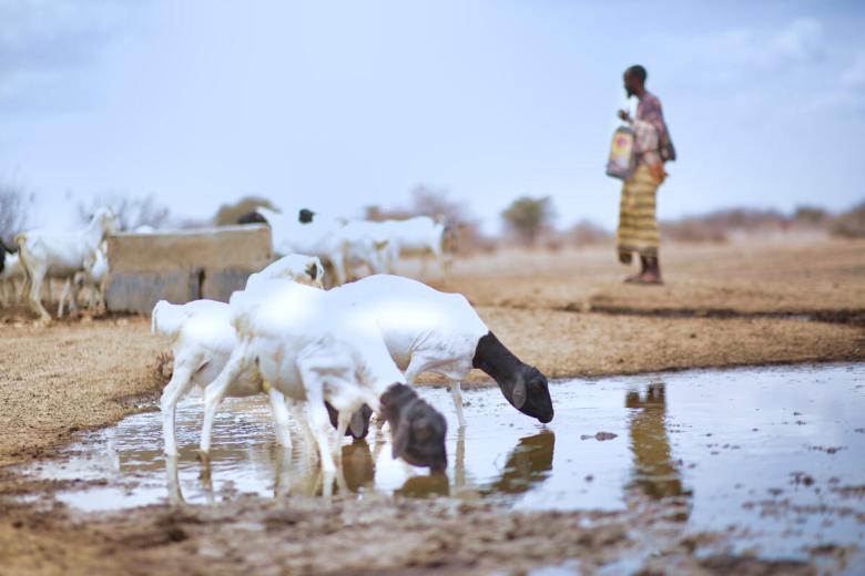Four ways vulnerable nations are paying for climate change | Climate Change  | World Vision International
