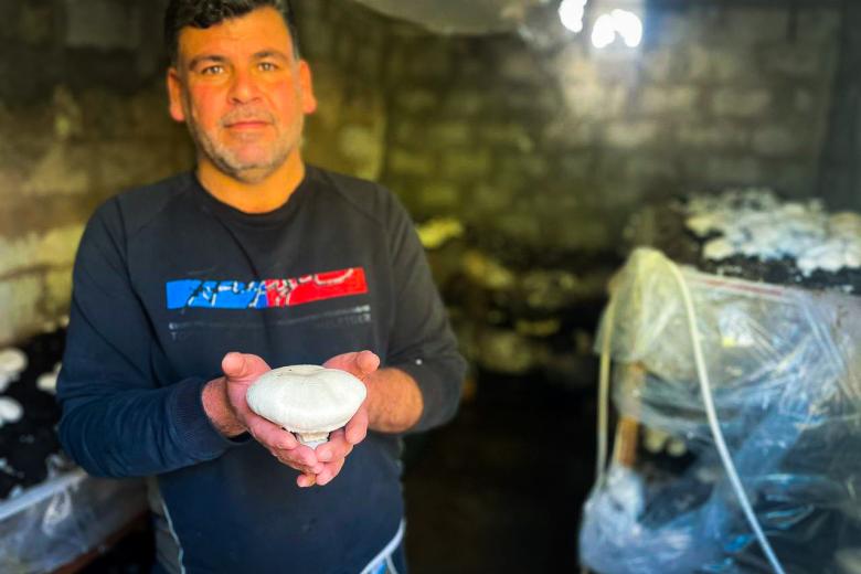 Faisal holds a sample of mushrooms for the second batch of production. (© World Vision 2022 l photo by Muhammed Abd Salam)