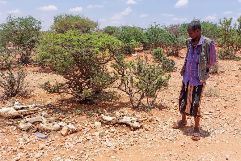 Drought, Migration, Pastoralists, Somalia,