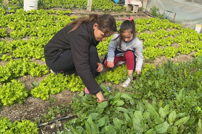 Liri in the farm
