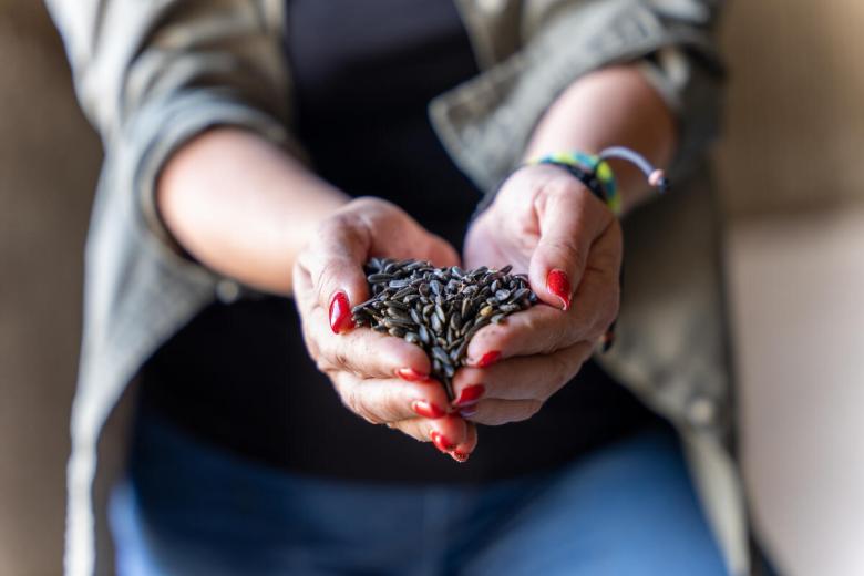 Ukraine seed hands