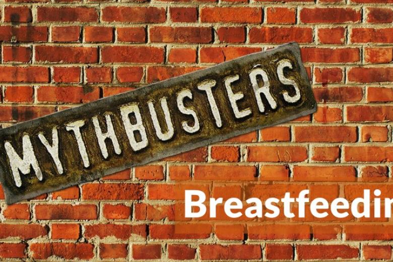 BF Mythbusters