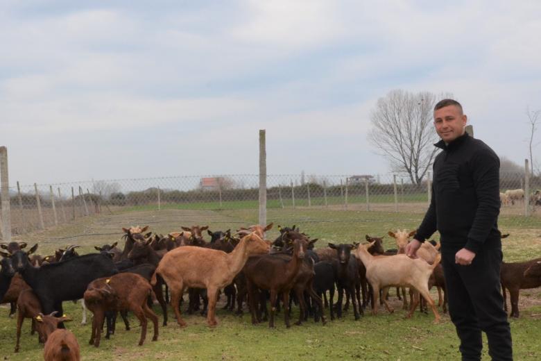 Alfred in the farm