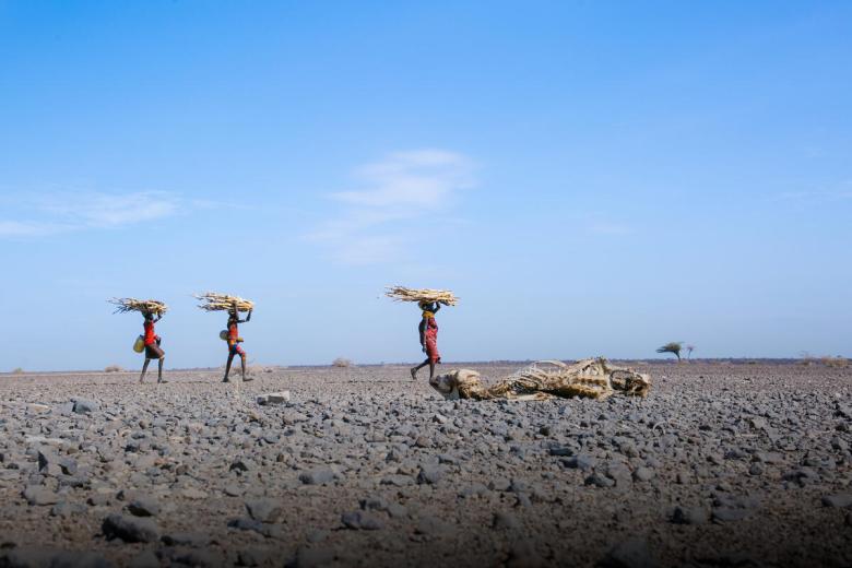 People carrying sticks across an arid land