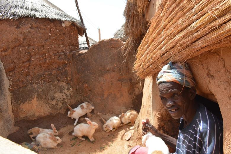 Atiama, attending to her Rabbits