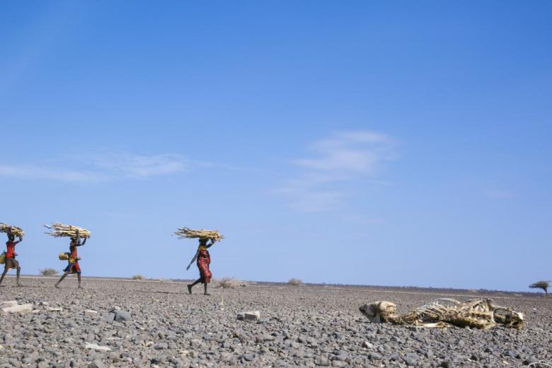 women carrying bundles on their heads over dry ground