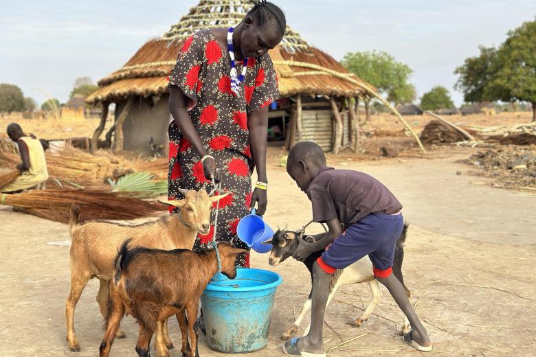 Akur gives water to her goats