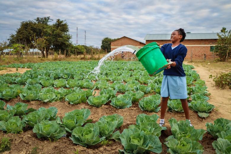 Girl throwing water over a cabbage patch