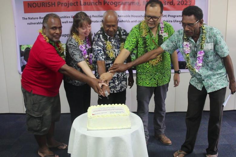 Cake cutting