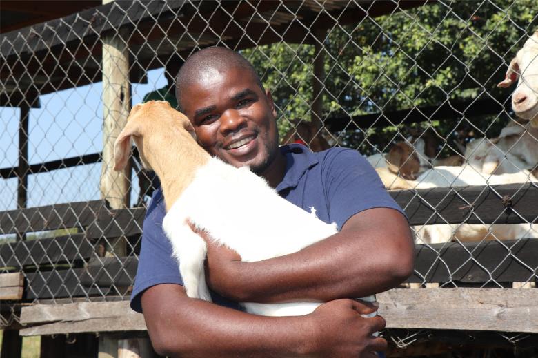 Goats, Livelihood, Eswatini