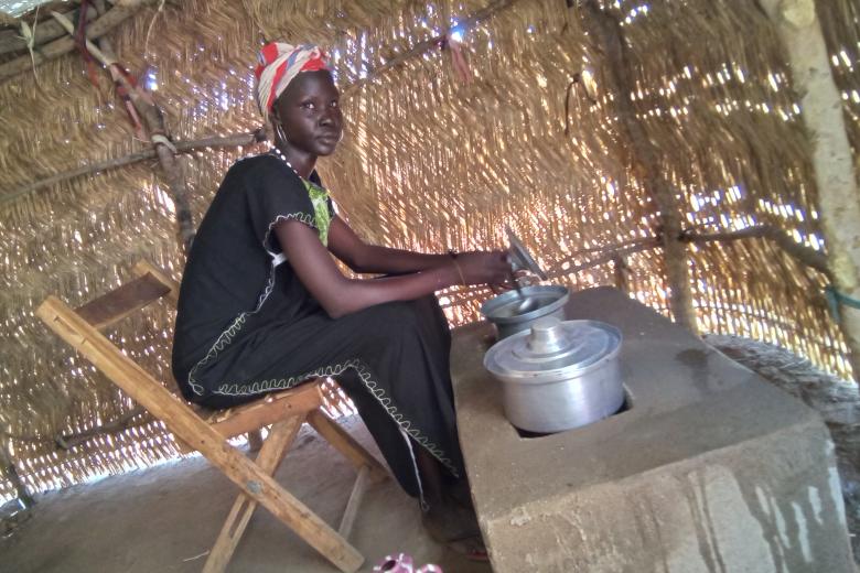 BMZ Project - energy saving stove