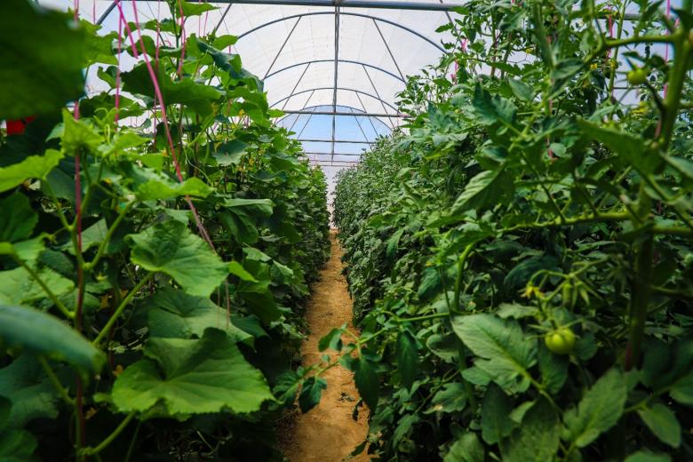 Empowering Women through Income-Generating Projects