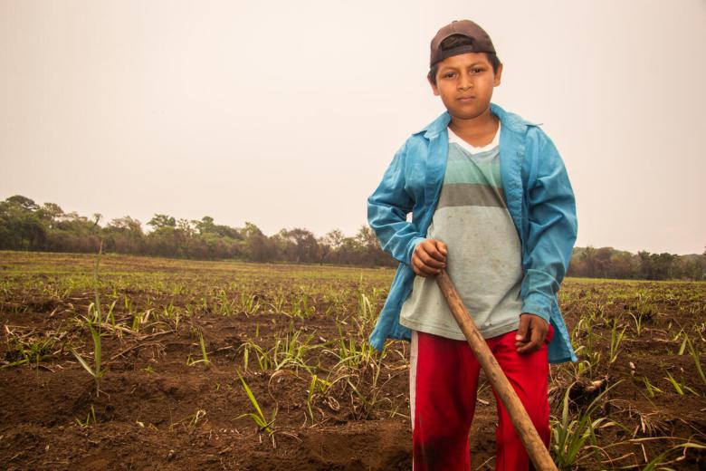 Latin American Child in field with hoe