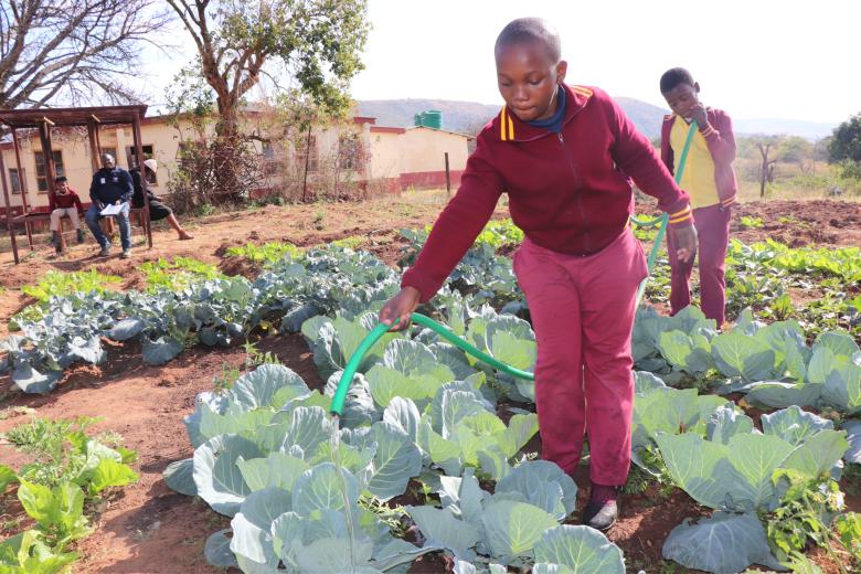 WASH, Quality Education, Eswatini