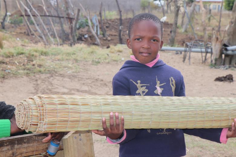 Livelihood, Eswatini