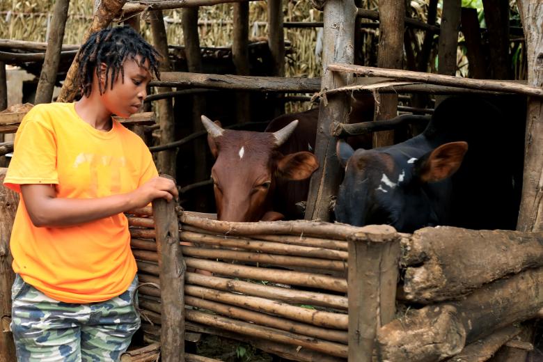 Ange feeding her livestock that she acquired through PAC Project.