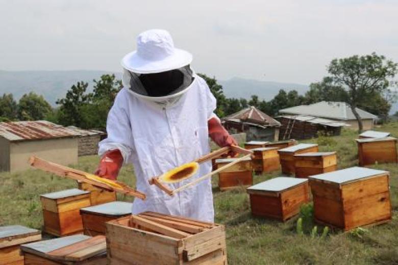 preparing beehive