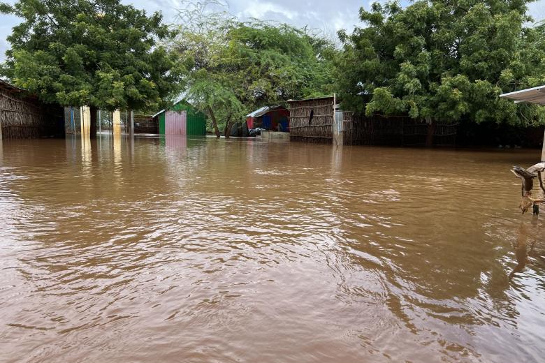 In Doolow town, Gedo region, in southern Somalia, severe floods have forced families to abandon their homes. Ongoing rains have caused the water levels in the Juba and Dawa river to rise.