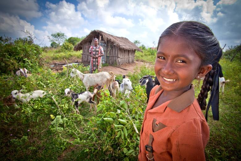 Celebrating Year of the Goat | | India | World Vision International Celebrating Year of the Goat | | India | World Vision International