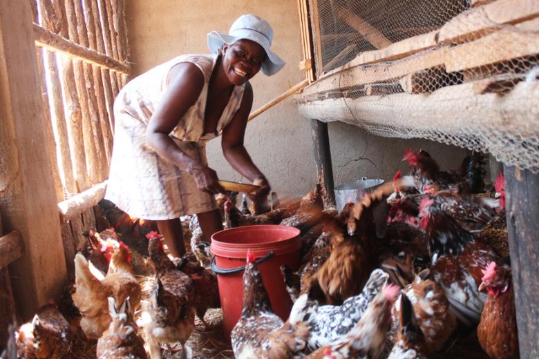 Savings groups empowering women in Mutasa