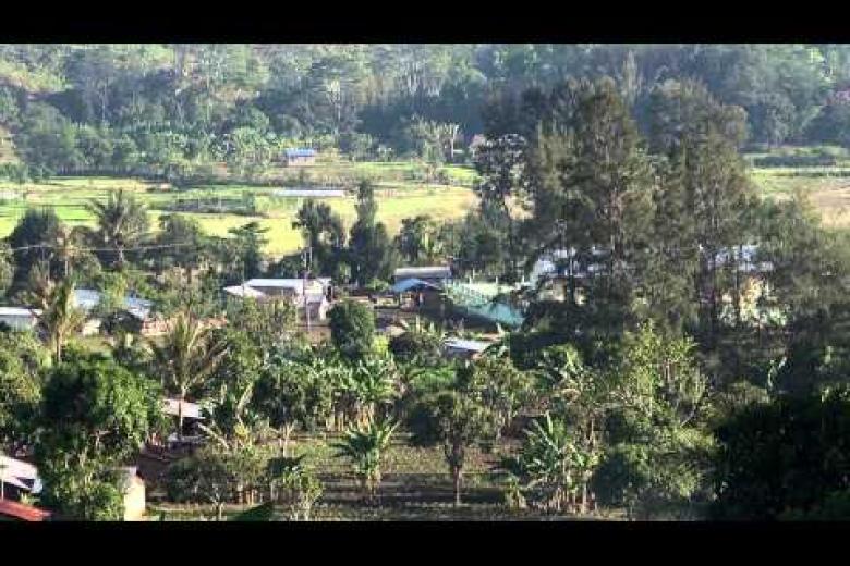 Renew The Land - FMNR in Timor-Leste