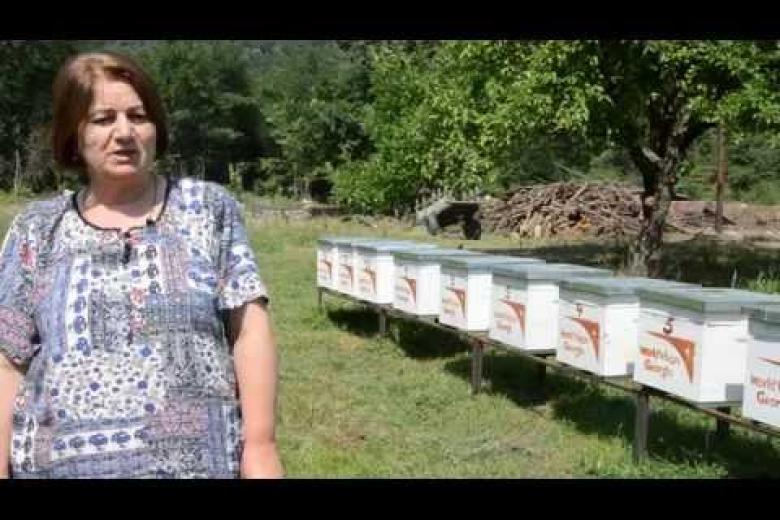 Beekeeping project, Kakheti ADP