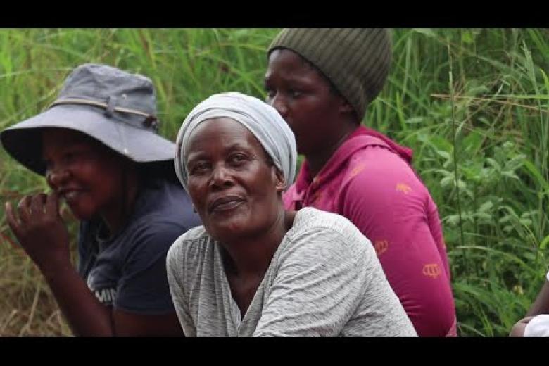 Transforming Lives: The Impact of the FAST Programme on Savings Groups in Eswatini