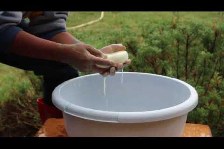 Hand Washing Sessions