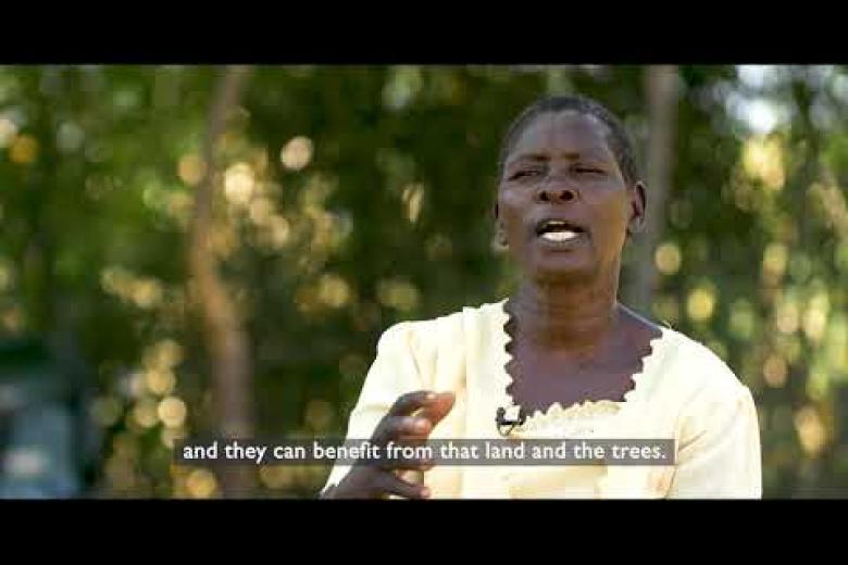 Regreening Homa Bay: Using trees to boost food security and tackle climate change (long version)