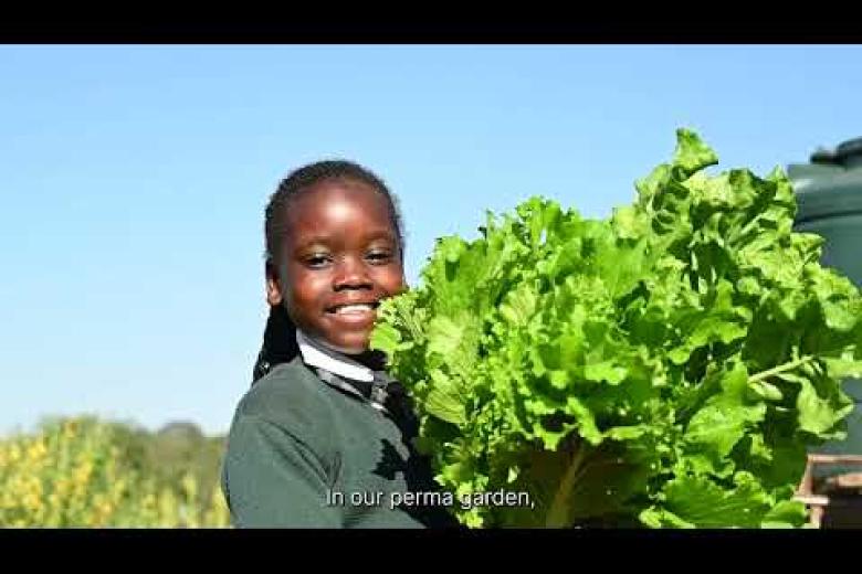 Children Leading Way in Agro-Adaption and Resilience