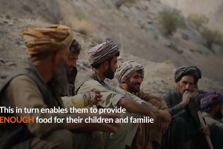 Farmer's Day in Afghanistan