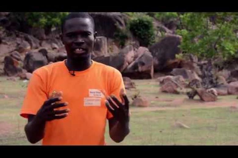 RE-GREENING DEGRADED LAND IN GHANA