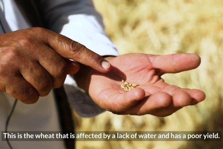 Climate Shocks Contributes to Food Insecurity