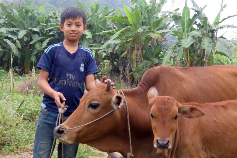 Neighbours share gift of livestock | Vietnam | World Vision International Neighbours share gift of livestock | Vietnam | World Vision International