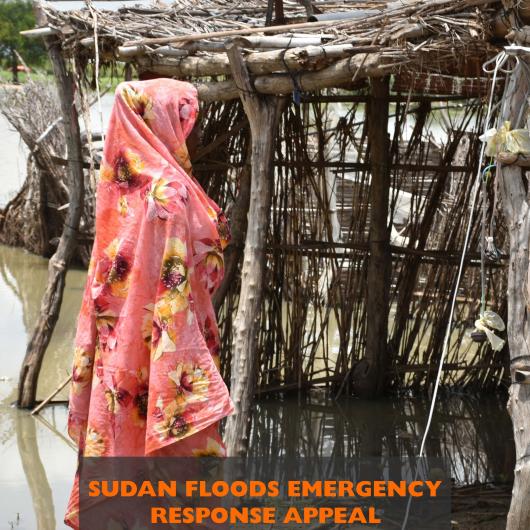 Sudan Floods Appeal 