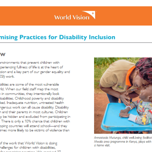 Promising practices for disability inclusion