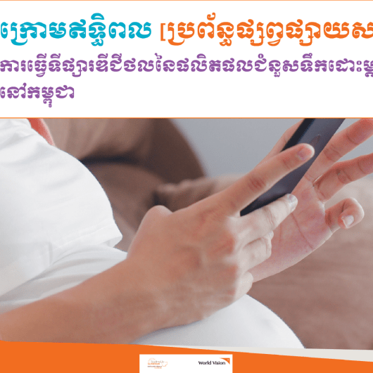 The study on BMS in Cambodia